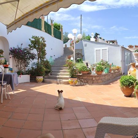 B&B Villa Cristina Anacapri  Exteriör bild