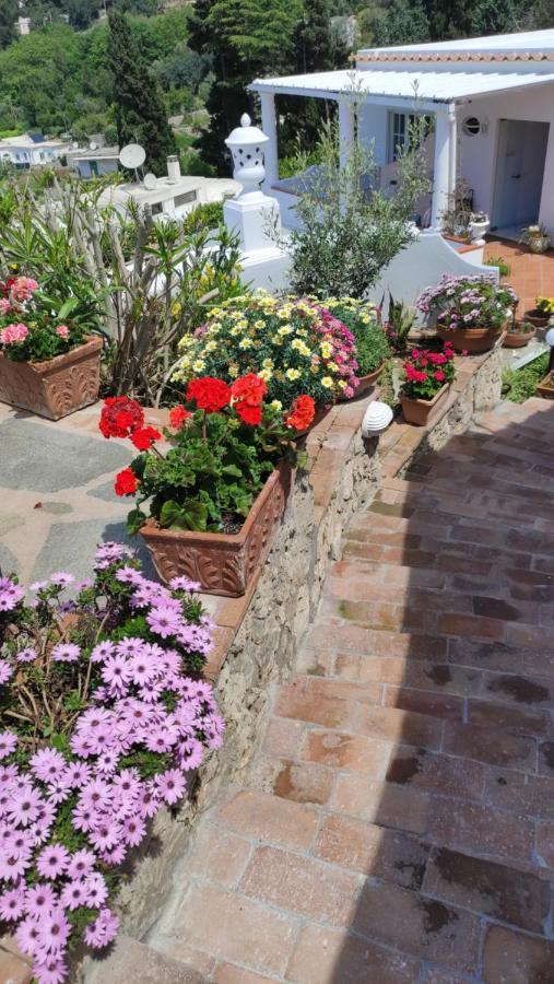 B&B Villa Cristina Anacapri  Exteriör bild