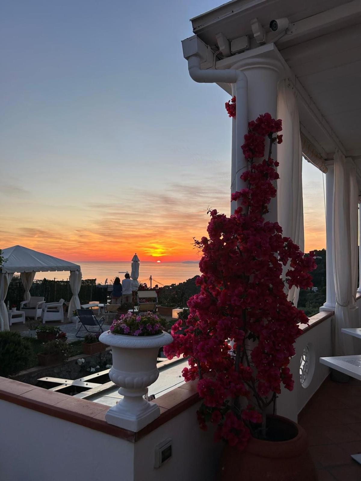 B&B Villa Cristina Anacapri  Exteriör bild