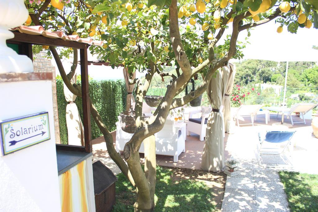 B&B Villa Cristina Anacapri  Exteriör bild
