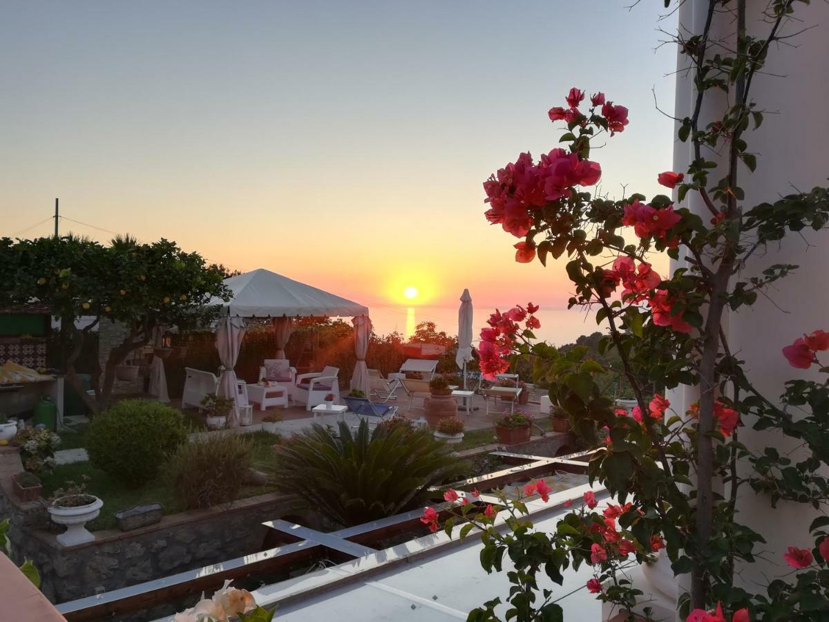 B&B Villa Cristina Anacapri  Exteriör bild